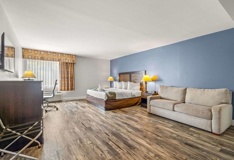 בית מלון כפרי Quality Inn & Suites Tampa Ybor City