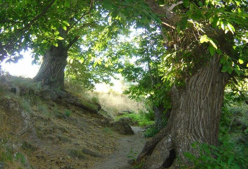 Cortijo Prado Toro