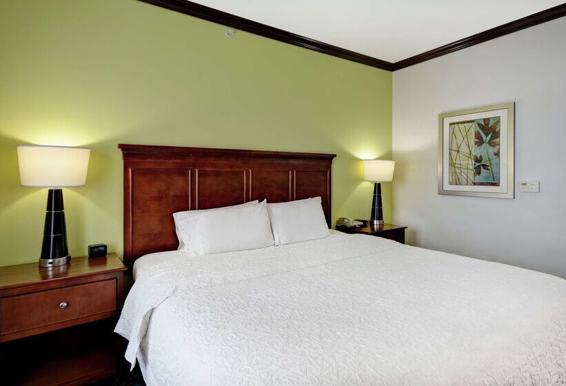 Hampton Inn & Suites San Antonio/northeast I35