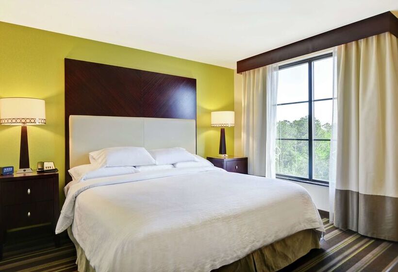 هتل Embassy Suites By Hilton Savannah Airport