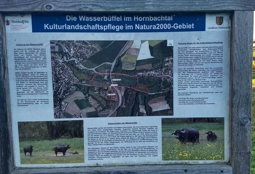 Отель Gästehaus Gebauer