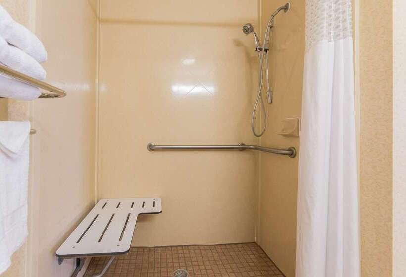 هتل Hampton Inn & Suites Las Cruces I 25