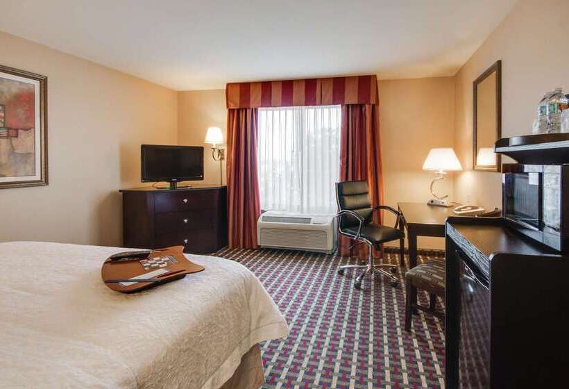 هتل Hampton Inn & Suites Las Cruces I 25