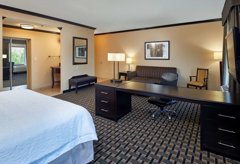 בית מלון כפרי Hampton Inn & Suites Longview North