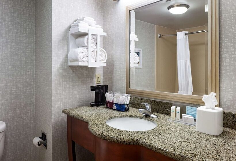 هتل Hampton Inn & Suites Mobile I 65@ Airport Blvd