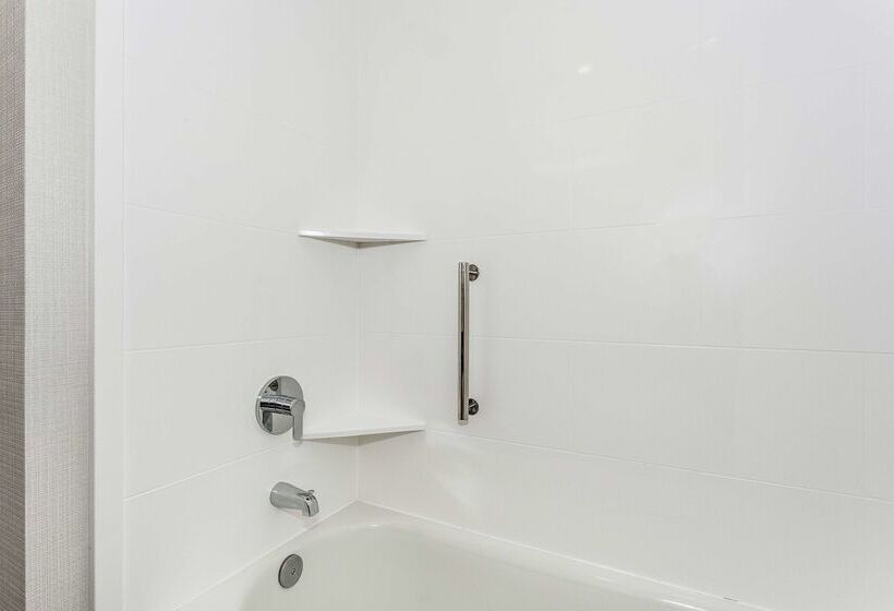 هتل Hampton Inn & Suites Mobile  Downtown Historic District