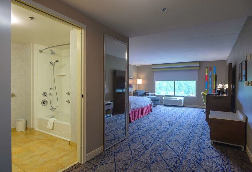 فندق Hampton Inn & Suites Atlsix Flags