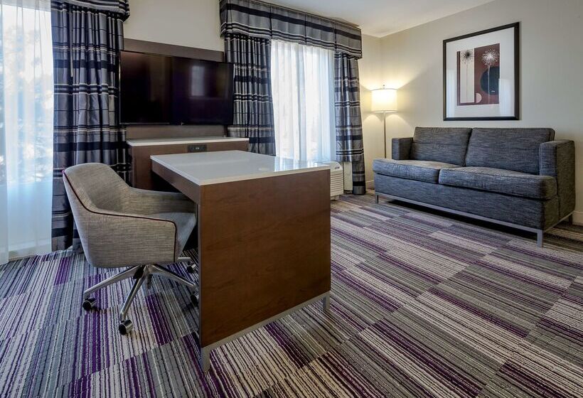 酒店 Hampton Inn & Suites Chicago Southlandmatteson