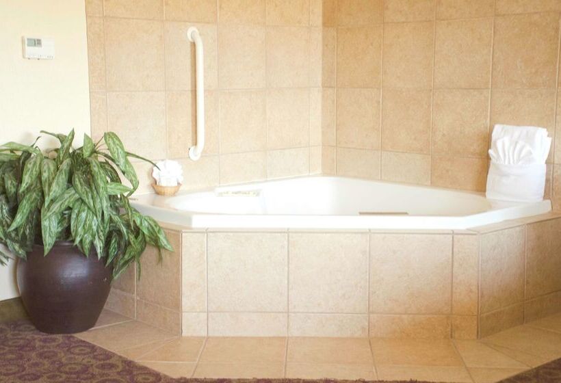 בית מלון כפרי Hampton Inn And Suites College Station