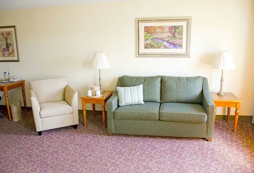 בית מלון כפרי Hampton Inn And Suites College Station