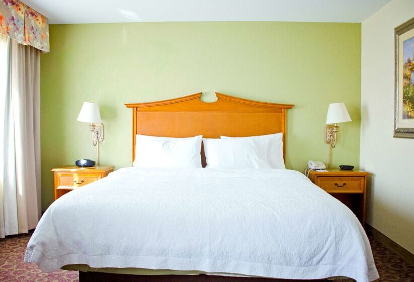 בית מלון כפרי Hampton Inn And Suites College Station