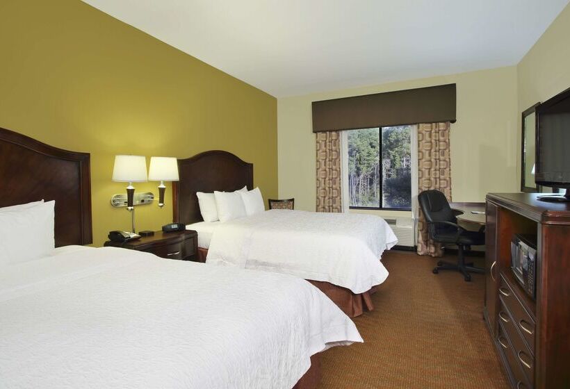 ホテル Hampton Inn & Suites Conroe  I45 North