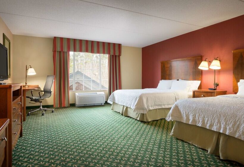 هتل Hampton Inn & Suites Williamsburg Central