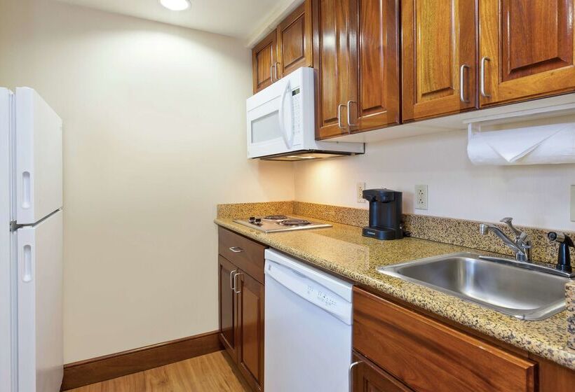 هتل Homewood Suites By Hilton Chesapeakegreenbrier