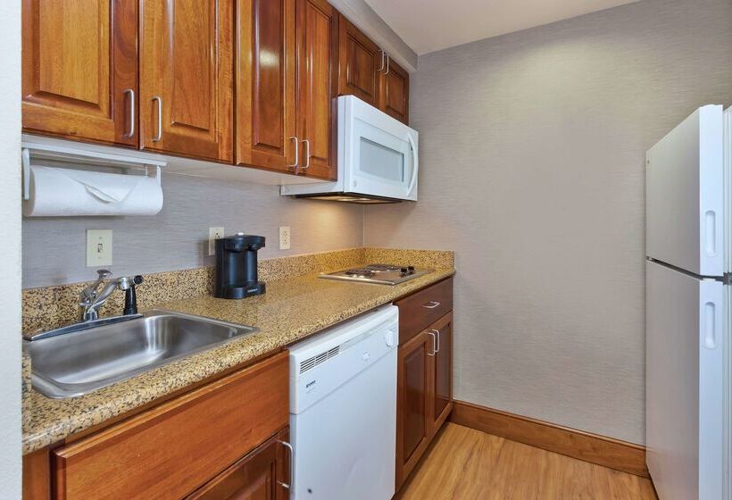 هتل Homewood Suites By Hilton Chesapeakegreenbrier