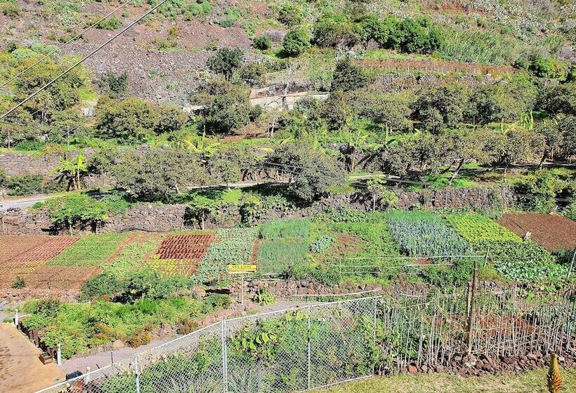 Fajã Dos Padres