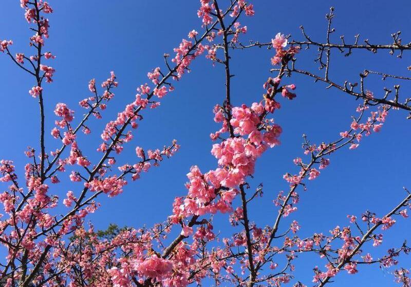 فندق Dogashima Onsen