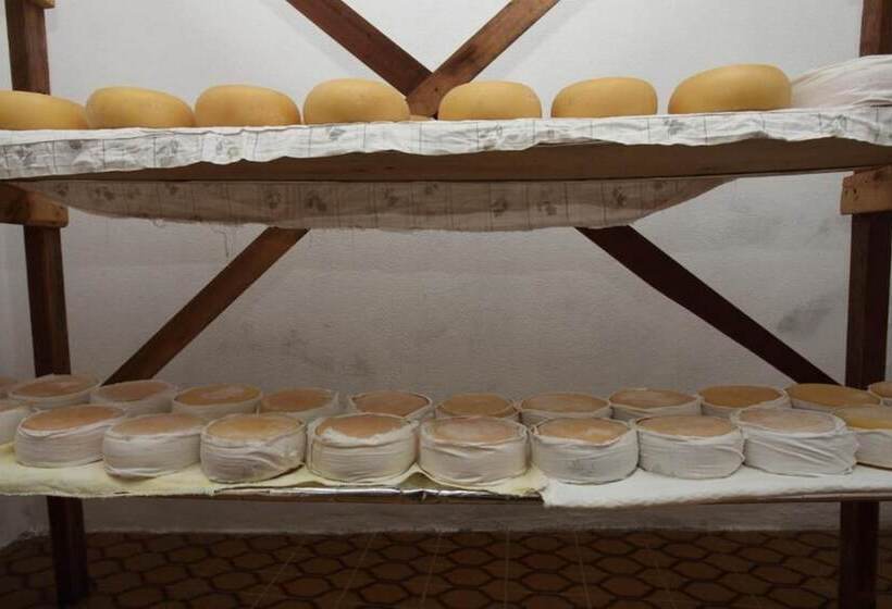 호텔 Inatel Vila Ruiva