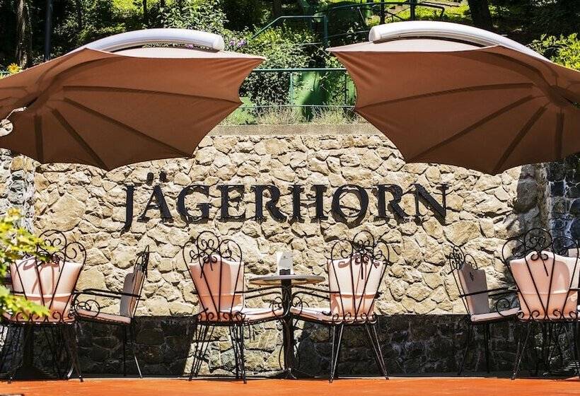 בית מלון כפרי Jagerhorn