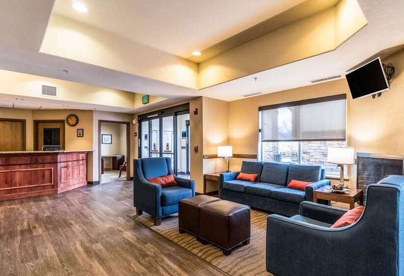 호텔 Comfort Inn & Suites