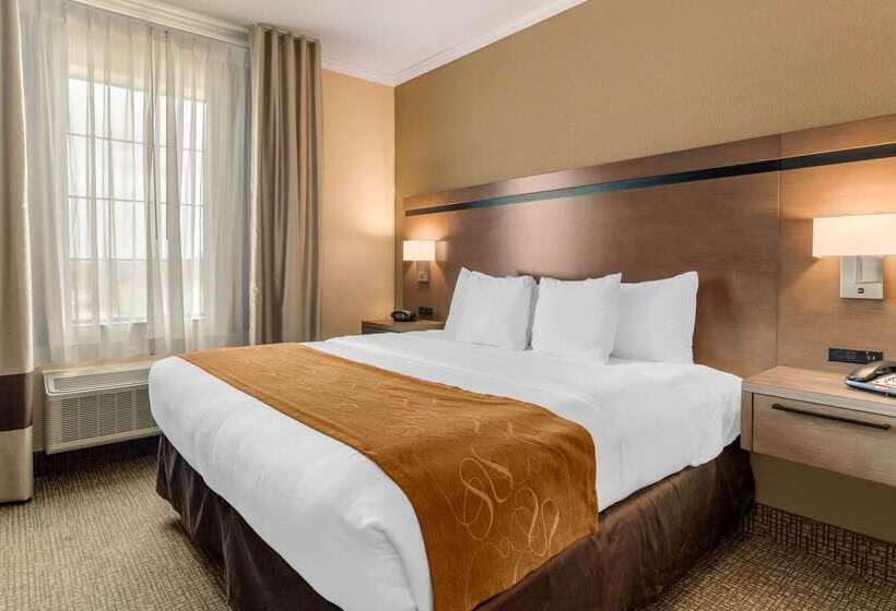 בית מלון כפרי Comfort Suites Baytown I   10