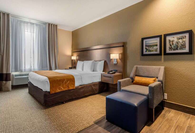 בית מלון כפרי Comfort Suites Baytown I   10