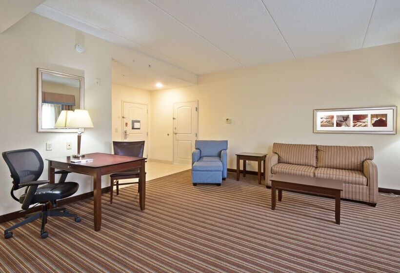 酒店 Hampton Inn By Hilton Gainesville Haymarket