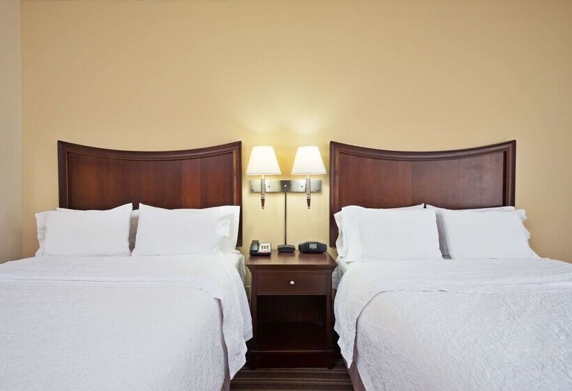 酒店 Hampton Inn By Hilton Gainesville Haymarket