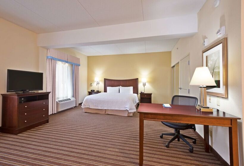 酒店 Hampton Inn By Hilton Gainesville Haymarket