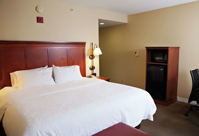 ホテル Hampton Inn Martin
