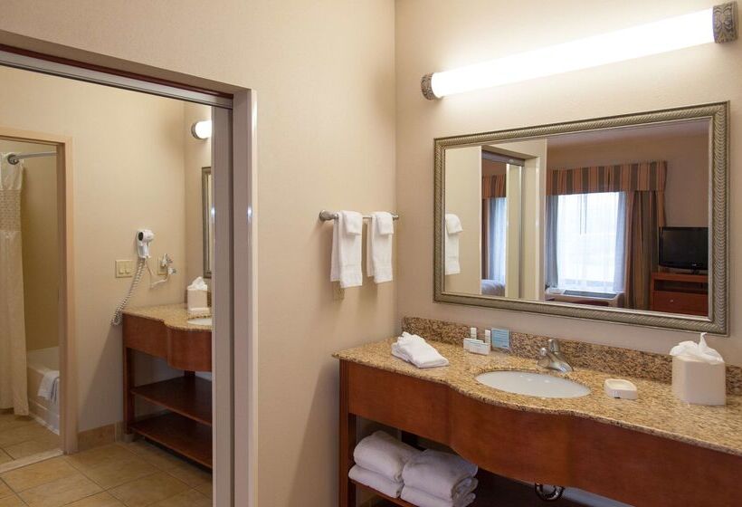 ホテル Hampton Inn Montgomery South Airport