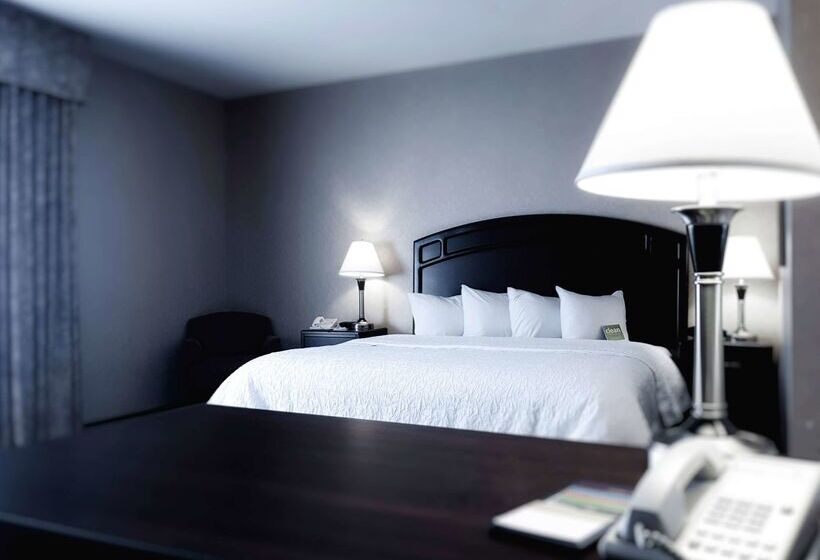 فندق Hampton Inn & Suites By Hilton Edmonton Intl Airport