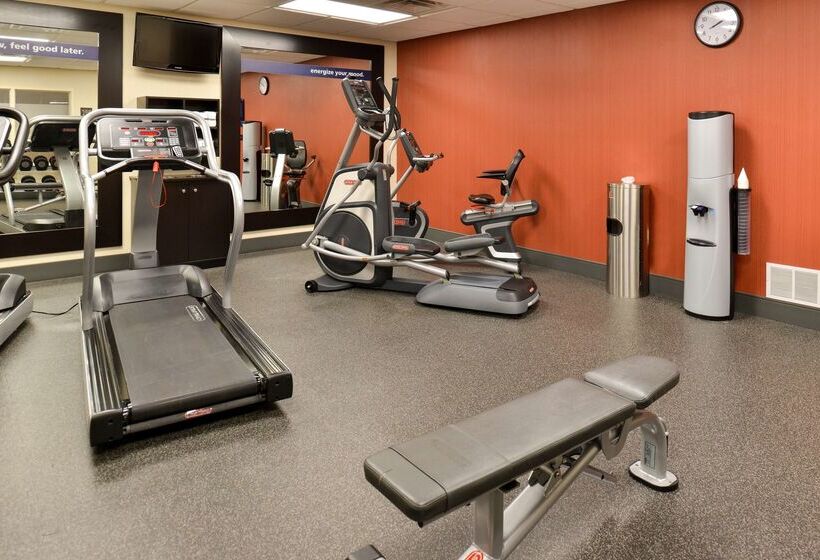هتل Hampton Inn & Suites Daytonvandalia