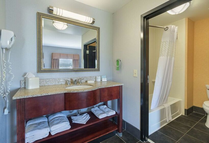 בית מלון כפרי Hampton Inn & Suites Indianapolis/brownsburg