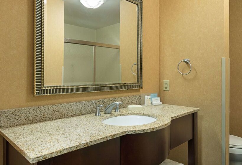 בית מלון כפרי Hampton Inn & Suites Indianapolis/brownsburg