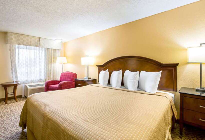 هتل Rodeway Inn Metro Airport