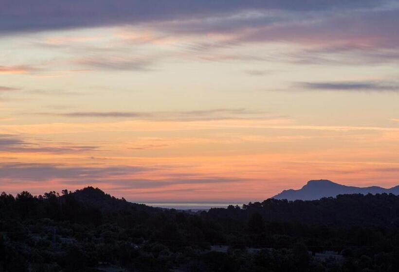 فندق ريفى Finca Can Beneit