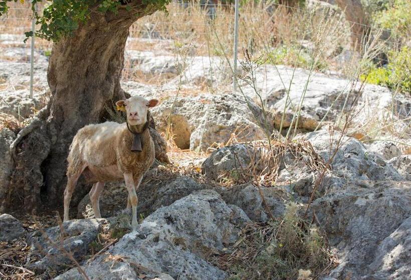 فندق ريفى Finca Can Beneit