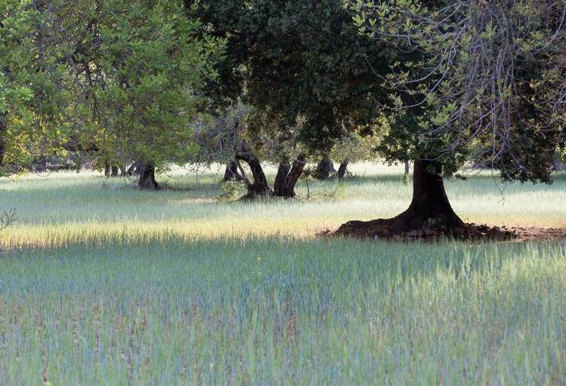 فندق ريفى Finca Can Beneit