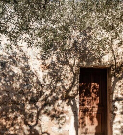 فندق ريفى Finca Can Beneit