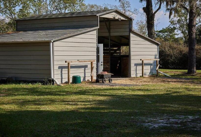 بنسيون Room In Bb   Pleasant Days Bb Tropical Master Suite