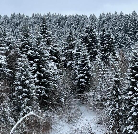 膳宿费 Belvedere Karpaty Panorama