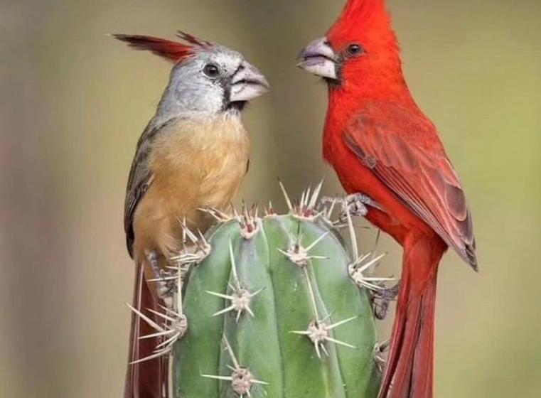 هتل Hostal Castillo Del Mar   Hostel