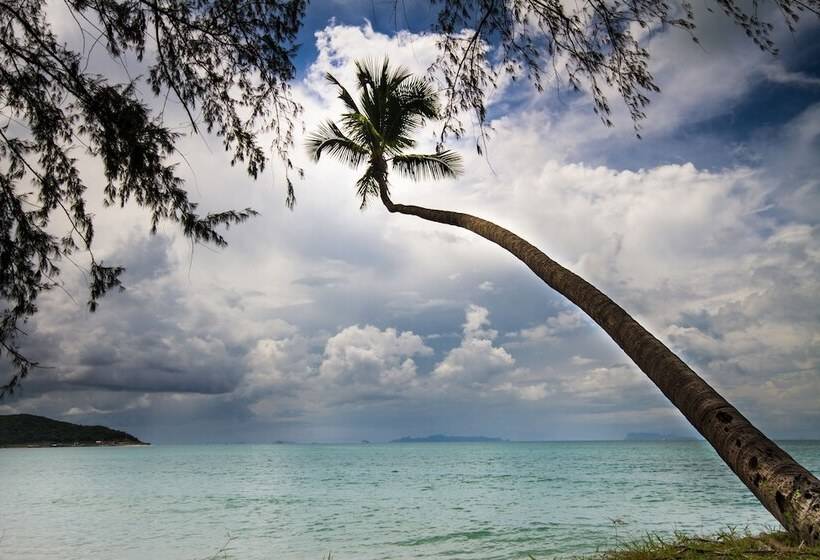 호텔 Anahata Resort Samui