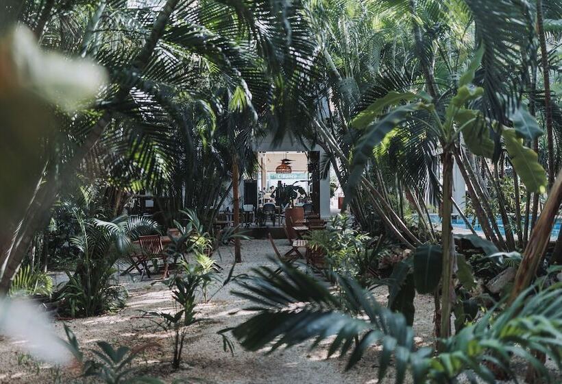 هتل Casa Barbara Holbox