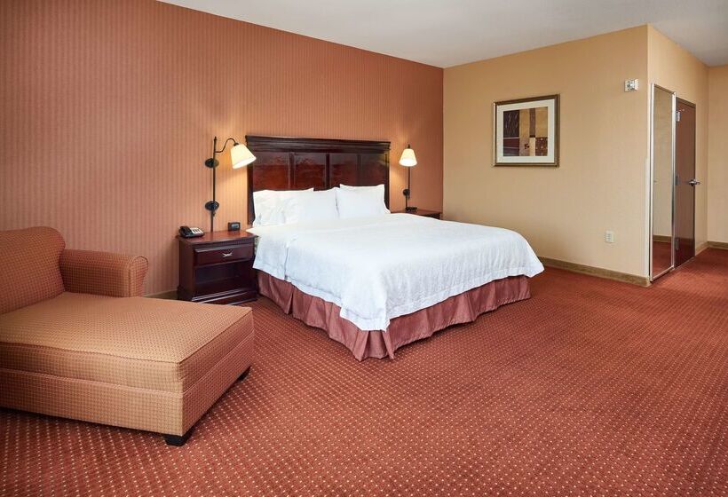 هتل Hampton Inn & Suites Austin South/buda
