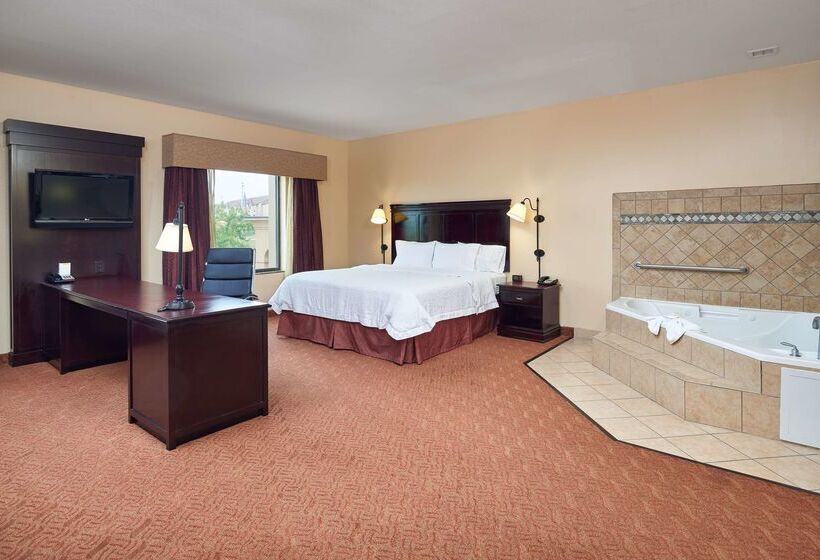 هتل Hampton Inn & Suites Austin South/buda