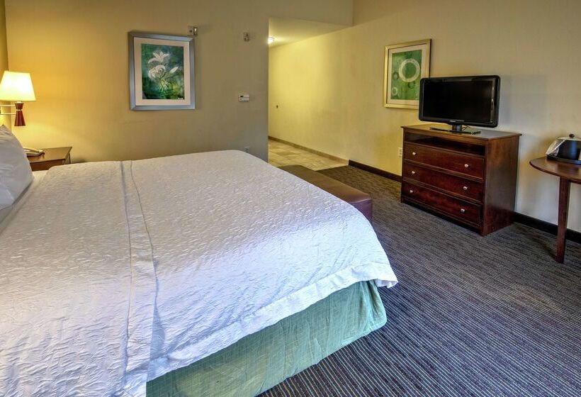هتل Hampton Inn & Suites Birmingham/280 Easteagle Point
