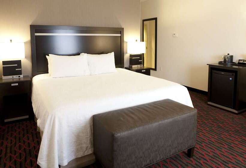 فندق Hampton Inn & Suites By Hilton Lethbridge