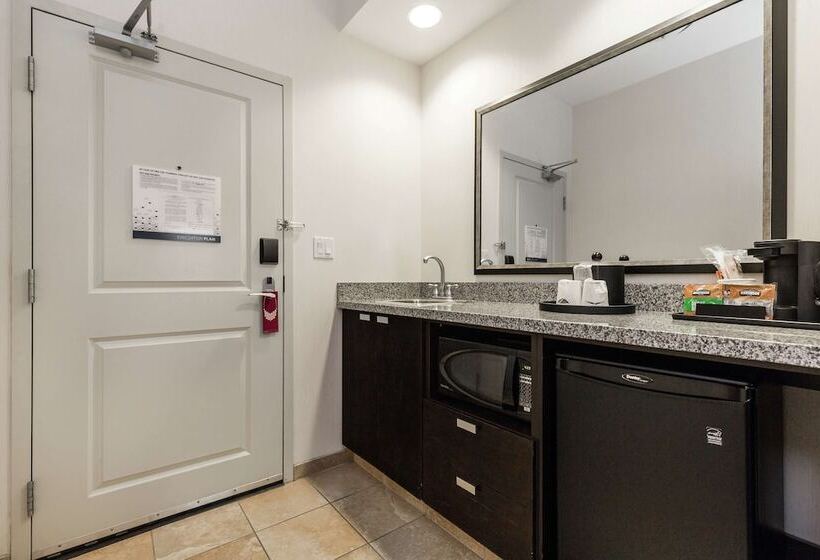 فندق Hampton Inn & Suites By Hilton Lethbridge
